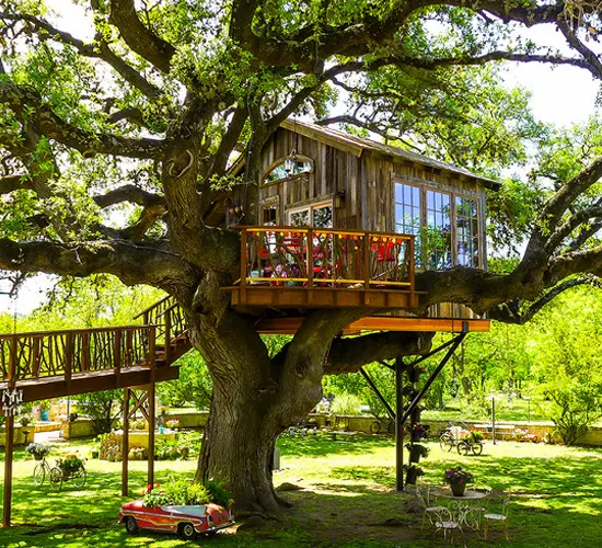 Tree House